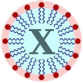LipidX Logo.png